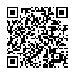 毕竟整个明珠市林豹打不过的人除了他那些兄弟有些之外二维码生成