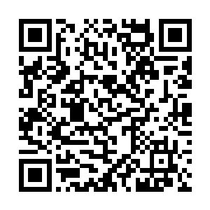 毕竟整个空间仙器内的融合兽都归沙小凡一个人猎杀二维码生成