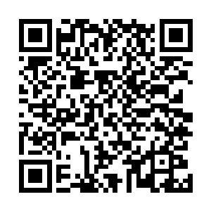 毕竟整个魔网还是受到强大神力的魔网女神密斯特拉控制二维码生成