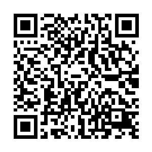 毕竟新来乍到的神近昭肯定要见见自己的大师姐和师兄们二维码生成