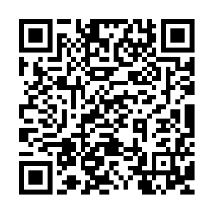 毕竟无虚现在说的这些东西在他的眼中简直就如同雾里看花一般二维码生成