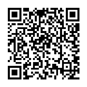 毕竟无论是阵玄子还是无天那可都是圣祖级别的超级高手二维码生成