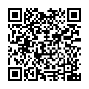 毕竟日后还会不断地有更多的人走出杨开的小乾坤二维码生成