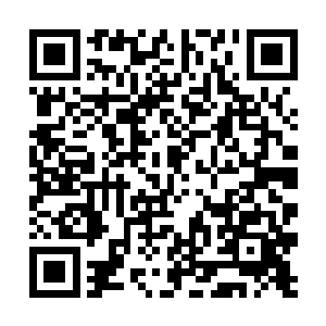 毕竟明天还得养精蓄锐的准备好好操练那六十个兵丁二维码生成