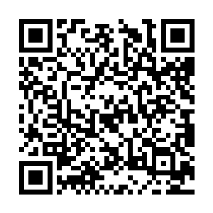 毕竟是汇聚了整个主星上一些曾经自由散漫的天才二维码生成