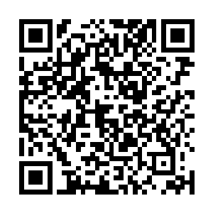 毕竟是那个强大到无以复加的青衣男子留下的战之本源二维码生成