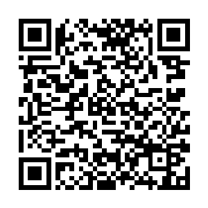 毕竟是马文冒着生命危险从猩红修道院里偷到的东西二维码生成