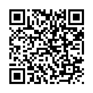 毕竟曾经是家里面最为得宠的孩子二维码生成