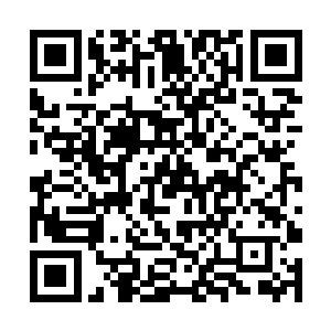 毕竟本身就是特种兵出身所有的招式都是用来杀敌的二维码生成