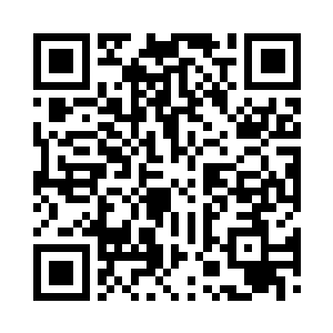 毕竟来这里的人几乎都是来参加万鼎之战的二维码生成