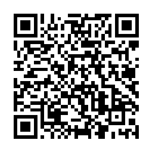 毕竟池佳一在他们的眼中也就是一个普通的战友罢了二维码生成