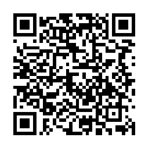 毕竟沙代盟主也有交代我务必帮上你抓神兽不是么二维码生成