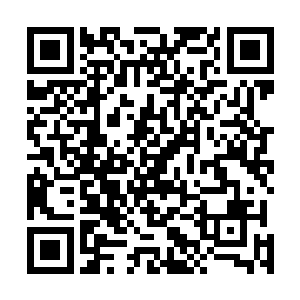 毕竟沙小凡不是像许星繁和许琴扬那样是先天五属性灵根二维码生成