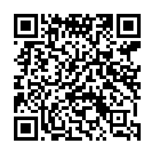 毕竟海鲜被她丢在淡水小溪里……苏落想想都替自己无语二维码生成