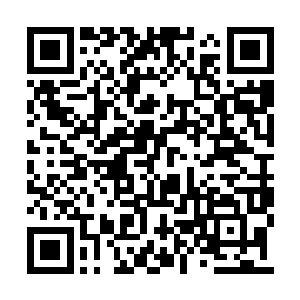 毕竟特殊任务赚取的狩猎积分比常规任务还要多二维码生成