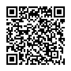 毕竟玄天墨往京里来信中可从未提到过有意迎娶古蜀公主二维码生成