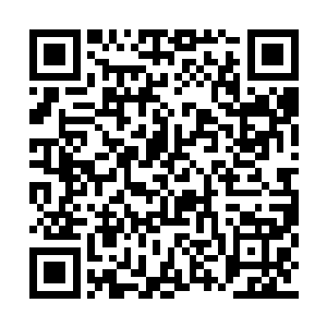毕竟王家可是跟着修武界许多门派都有利益往来二维码生成