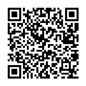 毕竟现在也就只有王晓刚这个孩子有相当的气象二维码生成