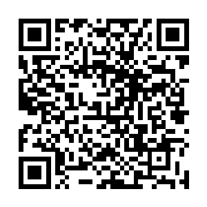 毕竟现在惩罚了上官庆说不定会给老板带来更大的灾难二维码生成