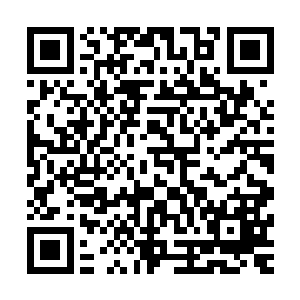 毕竟现在杨肖玫光那些奢侈品的代言费就已经达到了一个天价二维码生成