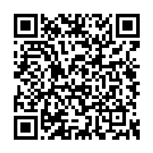 毕竟现在的徐子枫可是万药宫年轻一代的第一人二维码生成