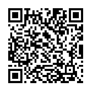 毕竟现在的情况跟上次他们交手的情况可完全不同了二维码生成