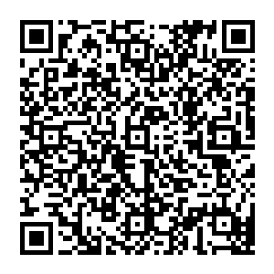 毕竟用一把数万年前传承下来的琴还有那么多仙乐师相关的乐器资料等几乎可以说是数万年前的仙乐师的一个体系二维码生成