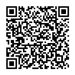 毕竟眼前的这人的实力几乎比着十二圣骑中每个人的实力都强的太多二维码生成