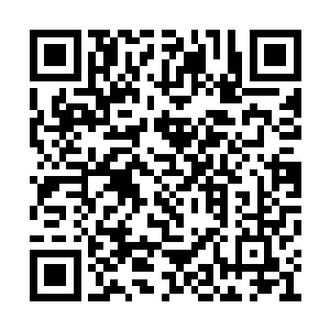 毕竟神社有九个筑基期修士和几十个炼气期修士二维码生成