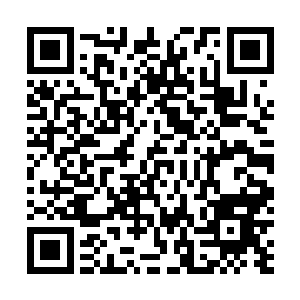 毕竟秦方可是利用炸弹灭掉了近两百全副武装的雇佣军的二维码生成
