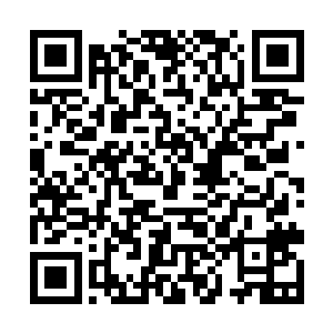 毕竟秦林展示的金银已远超过一般锦衣百户拥有的了二维码生成