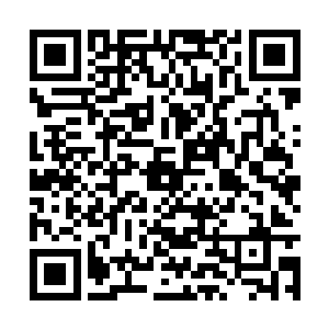 毕竟第一种和第四种情形无法拥有第二种和第三种二维码生成