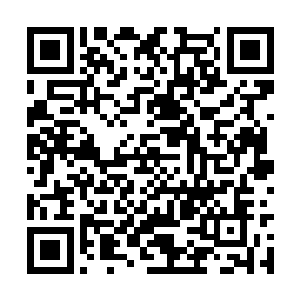 毕竟联盟性质的军队十分讲究效益和成本比例……二维码生成