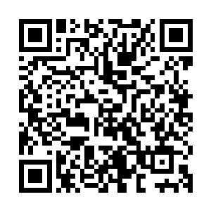 毕竟能偶让傲龙会的战神和会长都叫凡少的人是个什么样的人物二维码生成