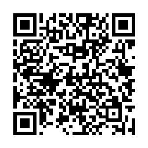 毕竟能够得到那位丁先生的照拂貌似也不是一般人二维码生成