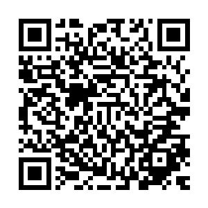 毕竟能够让大姐姐那样的人儿看重的男人又怎么可能会是败类呢二维码生成