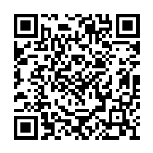 毕竟能够达到圣祖的级别没有一个是简单的货色二维码生成