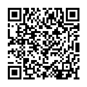 毕竟自己对于这个陌生的世界实在是太不了解了二维码生成
