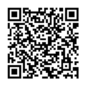 毕竟自己还想借着这次机会彻底打响梨花酒的品牌二维码生成