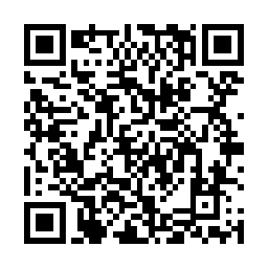 毕竟自己这番前来的第一目的还是要招揽那位凌波仙子二维码生成