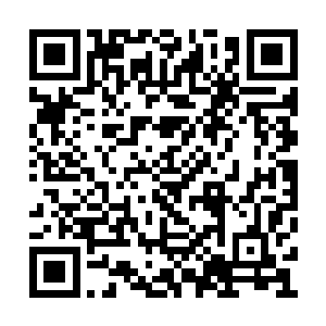 毕竟苏凡在消失四年之后突然出现在大家的面前二维码生成