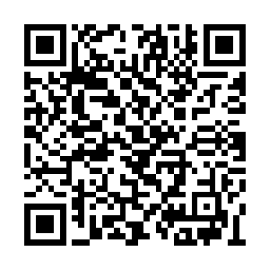 毕竟萧晨和楚朝云战胜的也只是十大宗门的弟子二维码生成