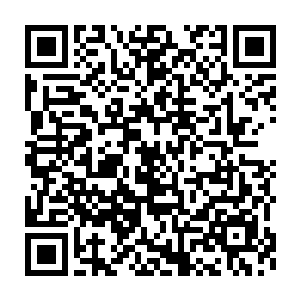 毕竟虽然他不知道格里斯的实力但是他却知道龙傲天可是在这里的二维码生成