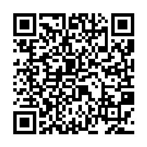 毕竟蝎女的幻术能力在整个寒冰世界都是赫赫有名的二维码生成