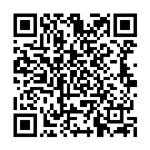 毕竟被迫掉头发和自己剃掉头发是两个概念不是二维码生成