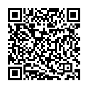 毕竟要挑选出真正的领队和最擅长队长的人为天选者二维码生成