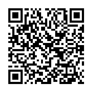 毕竟要是没有龙天行的话也根本就不会有龙家现在的样子二维码生成