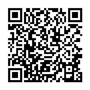 毕竟要是龙傲天因此遇难的话他心中恐怕也会过意不去的二维码生成