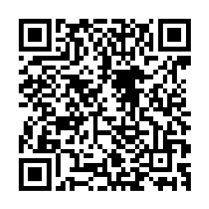 毕竟警察局里的那些个女同志都说谈恋爱的人有一项是必备的二维码生成