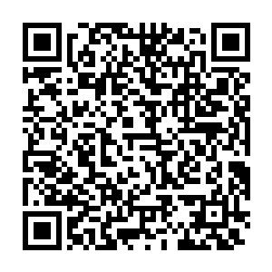 毕竟许德拉进化成真正的神龙之后容貌已经发生了天翻地覆的变化二维码生成